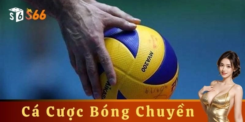 Cá cược bóng chuyền mang đến cho anh em những trải nghiệm đầy kịch tính