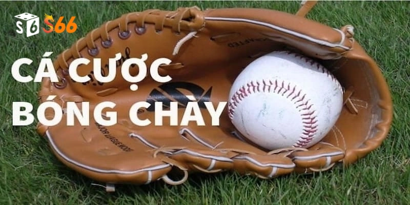 Mẹo hay khi cá cược bóng chày