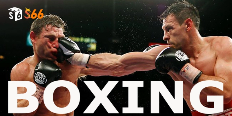 Những điều cần chú ý khi Cá Cược Quyền Anh