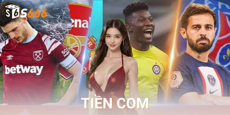  Tiền com và hành trình khai thác dài hạn